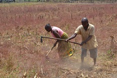 Farmers in Kenya